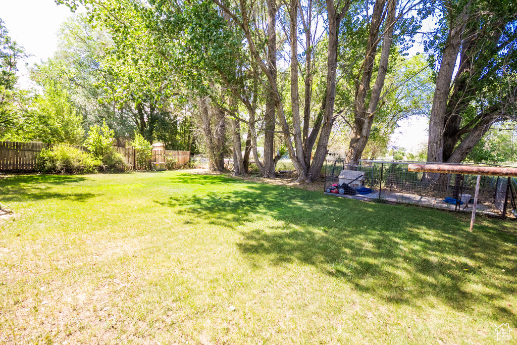 View of fenced backyard