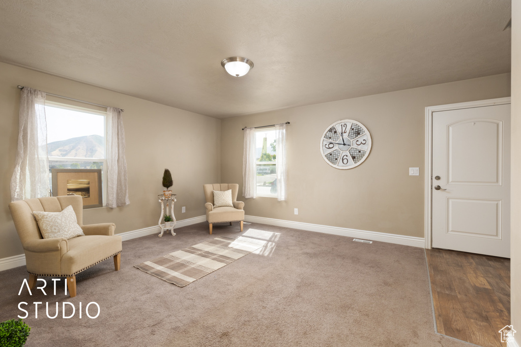 Living area with baseboards and carpet