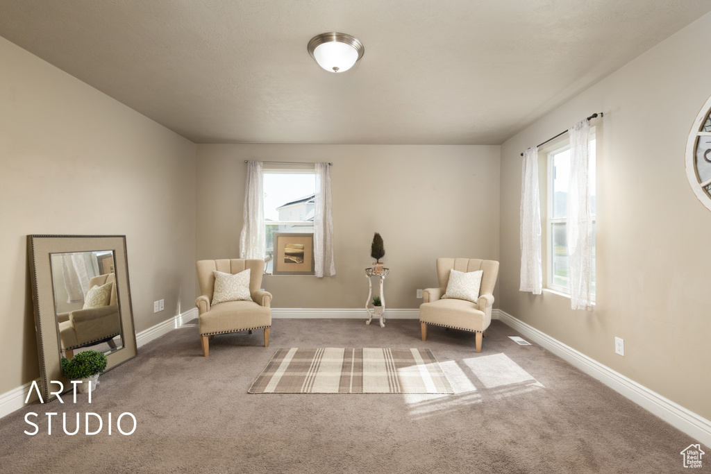 Sitting room with carpet