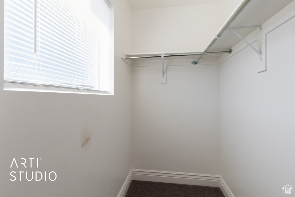 View of walk in closet