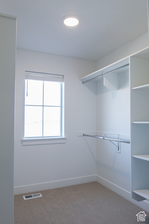 Spacious closet with carpet floors