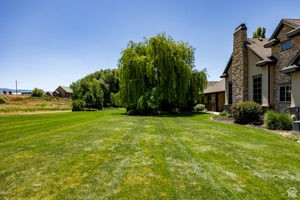 View of green lawn