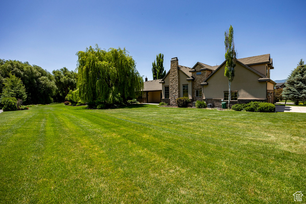 View of green lawn