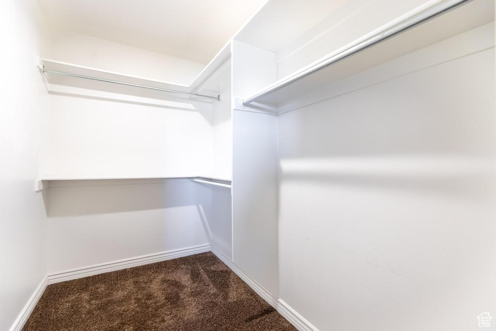 Spacious closet with carpet floors