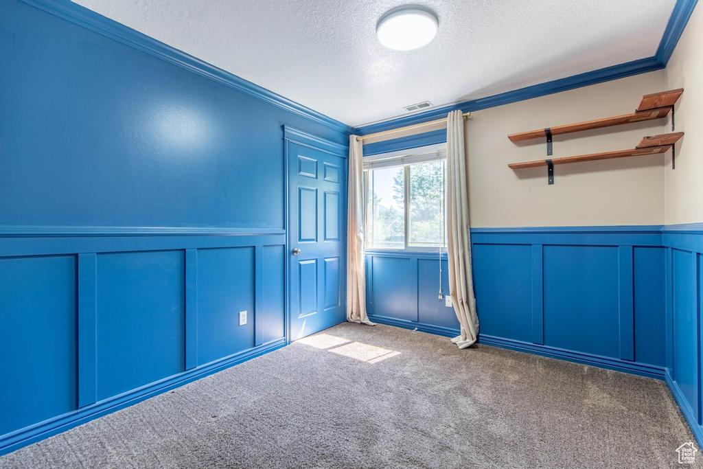Carpeted empty room with a decorative wall, a textured ceiling, a wainscoted wall, and ornamental molding