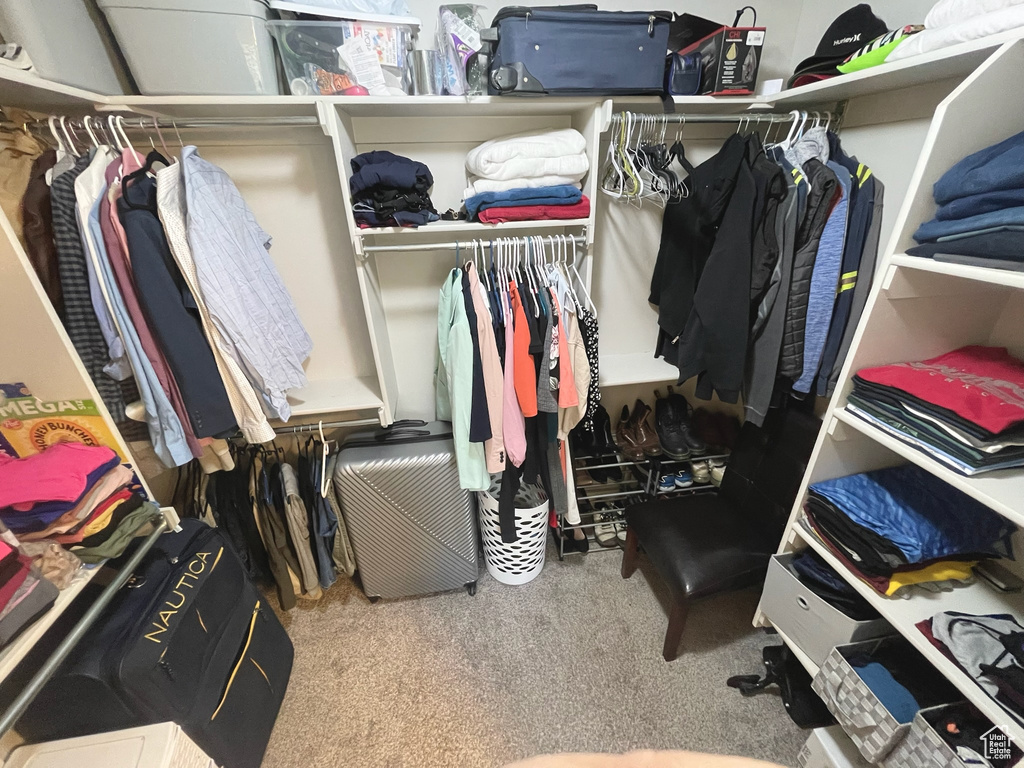 Spacious closet with carpet floors