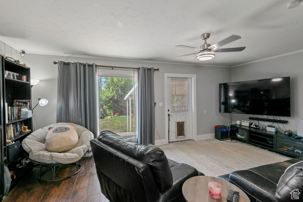Living room featuring hardwood / wood-style flooring, ceiling fan, and crown molding
