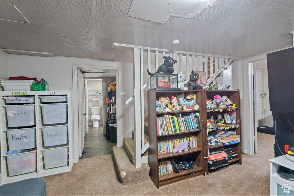 Basement featuring carpet floors