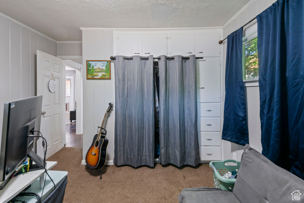 Carpeted bedroom with crown molding and a textured ceiling