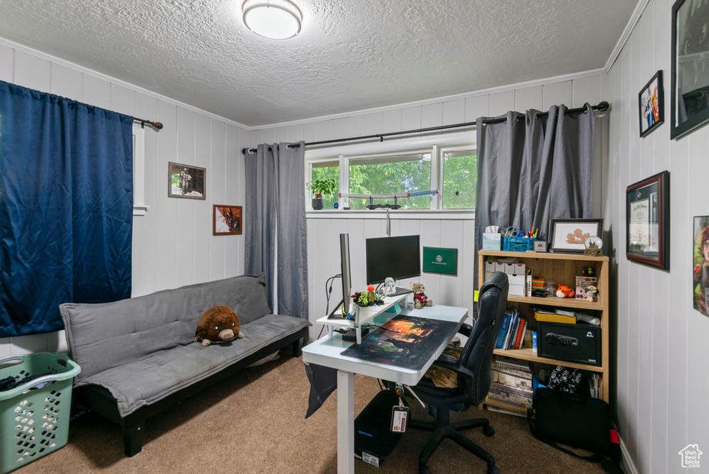 Office area with a textured ceiling, carpet, and crown molding