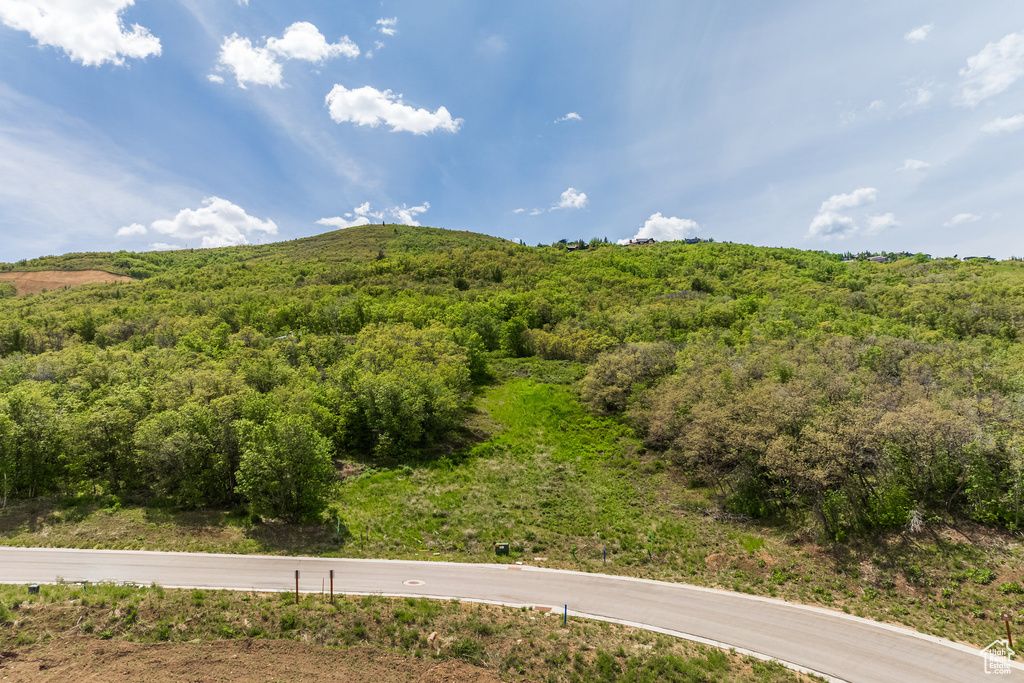 View of mountain background with a heavily wooded area