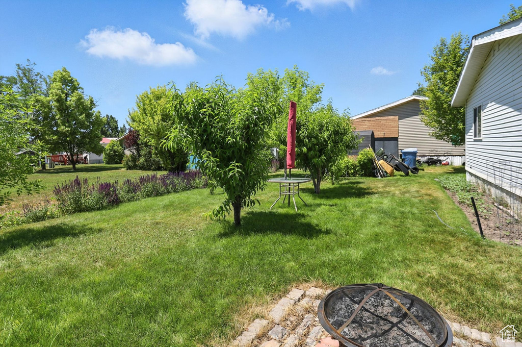 View of green lawn with an outdoor fire pit