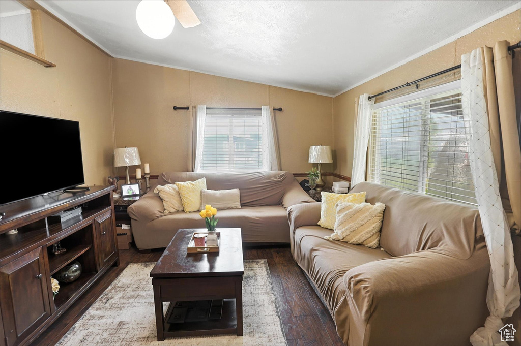 Living room with vaulted ceiling, dark wood finished floors, ornamental molding, and plenty of natural light