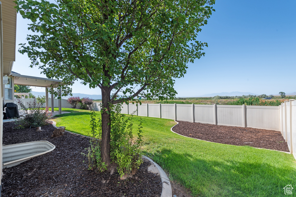 View of fenced backyard