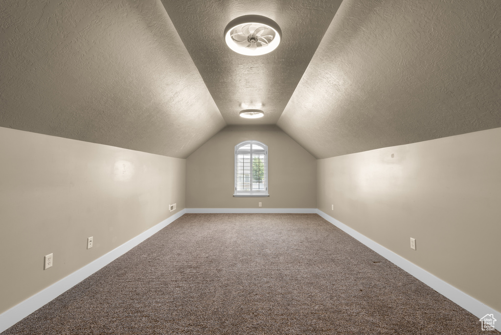 Additional living space with a textured ceiling, carpet floors, and lofted ceiling