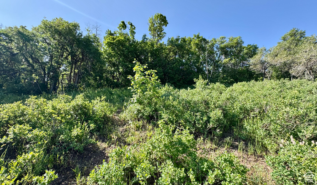 218  BEAR TOOTH RIDGE RD Wanship, UT 84017