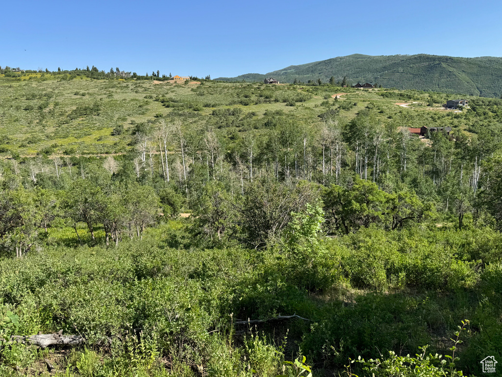 218  BEAR TOOTH RIDGE RD Wanship, UT 84017