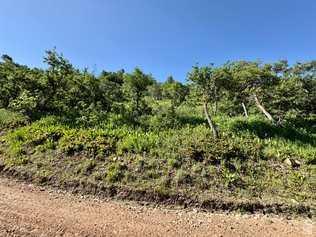 218  BEAR TOOTH RIDGE RD Wanship, UT 84017