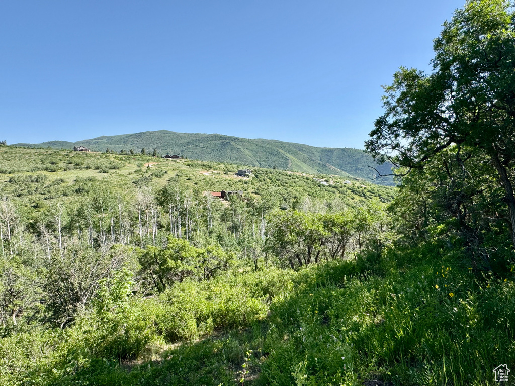 218  BEAR TOOTH RIDGE RD Wanship, UT 84017