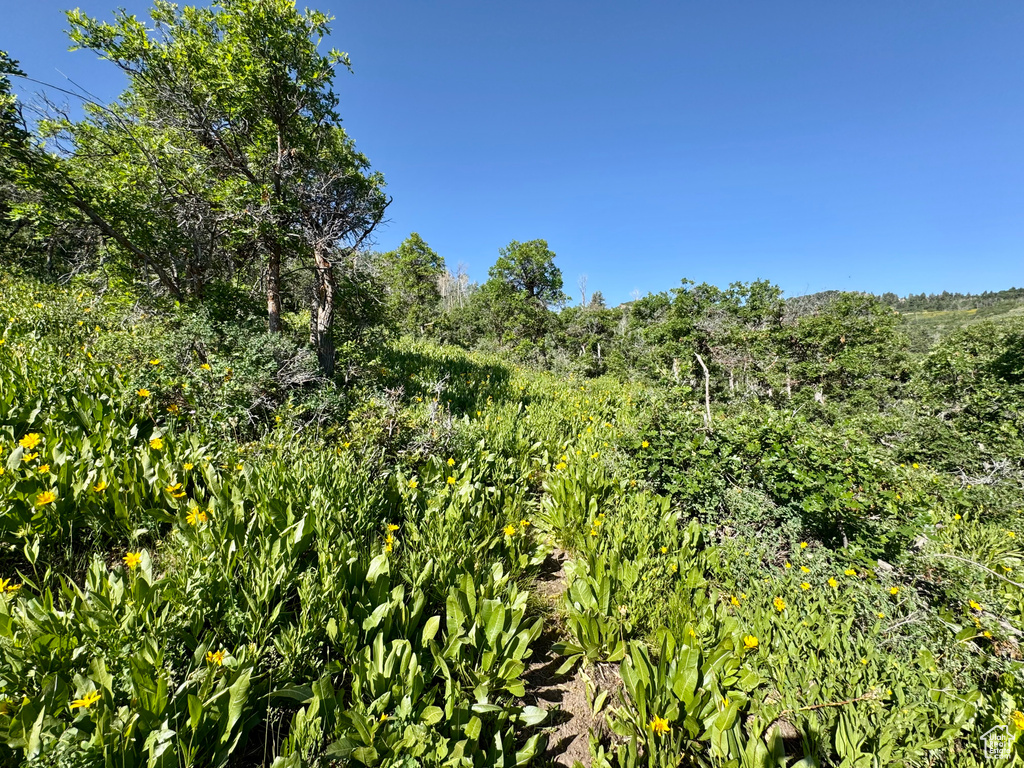 218  BEAR TOOTH RIDGE RD Wanship, UT 84017