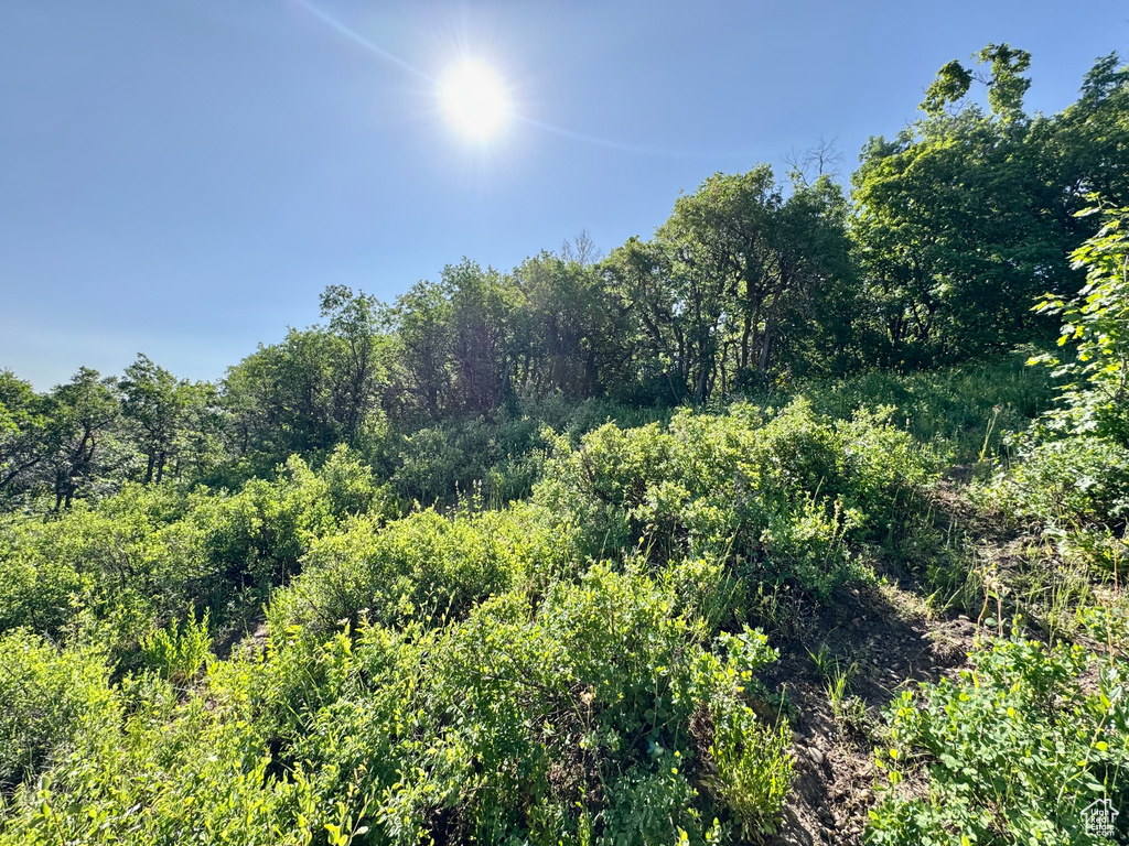 218  BEAR TOOTH RIDGE RD Wanship, UT 84017