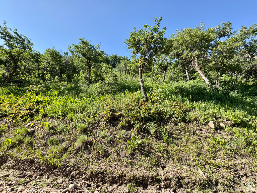 218  BEAR TOOTH RIDGE RD Wanship, UT 84017