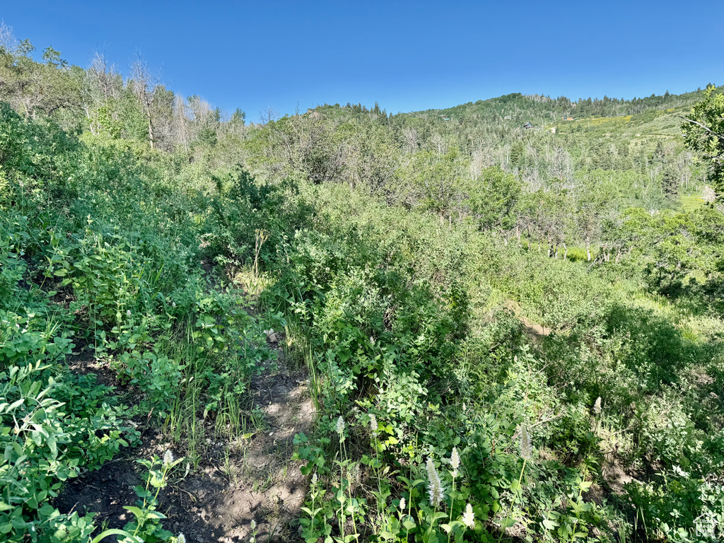 218  BEAR TOOTH RIDGE RD Wanship, UT 84017
