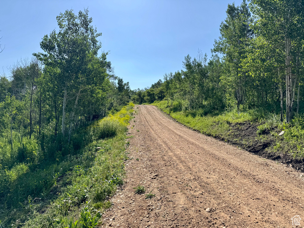 218  BEAR TOOTH RIDGE RD Wanship, UT 84017