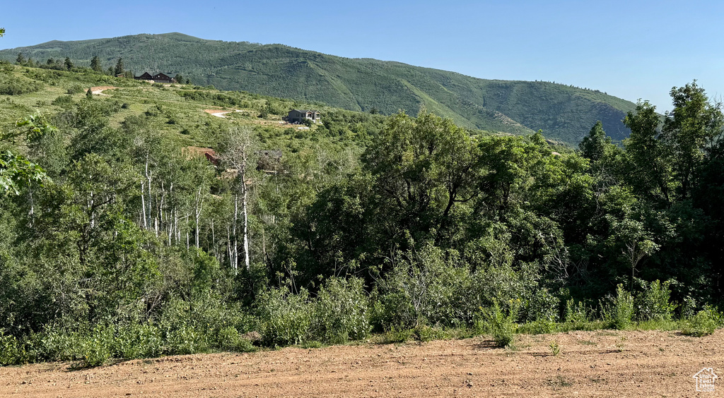 218  BEAR TOOTH RIDGE RD Wanship, UT 84017