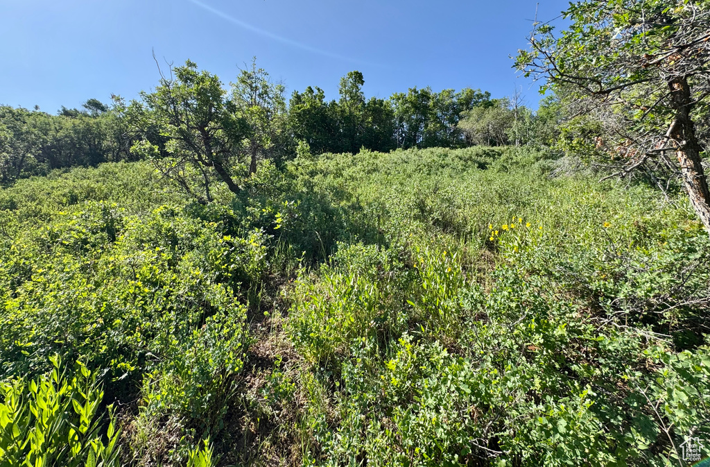 218  BEAR TOOTH RIDGE RD Wanship, UT 84017