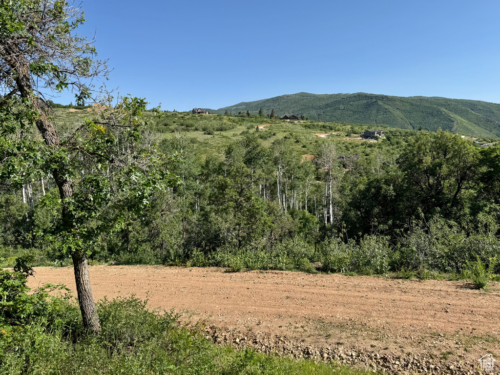 218  BEAR TOOTH RIDGE RD Wanship, UT 84017