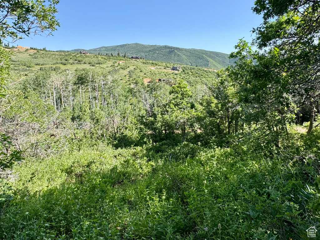 218  BEAR TOOTH RIDGE RD Wanship, UT 84017