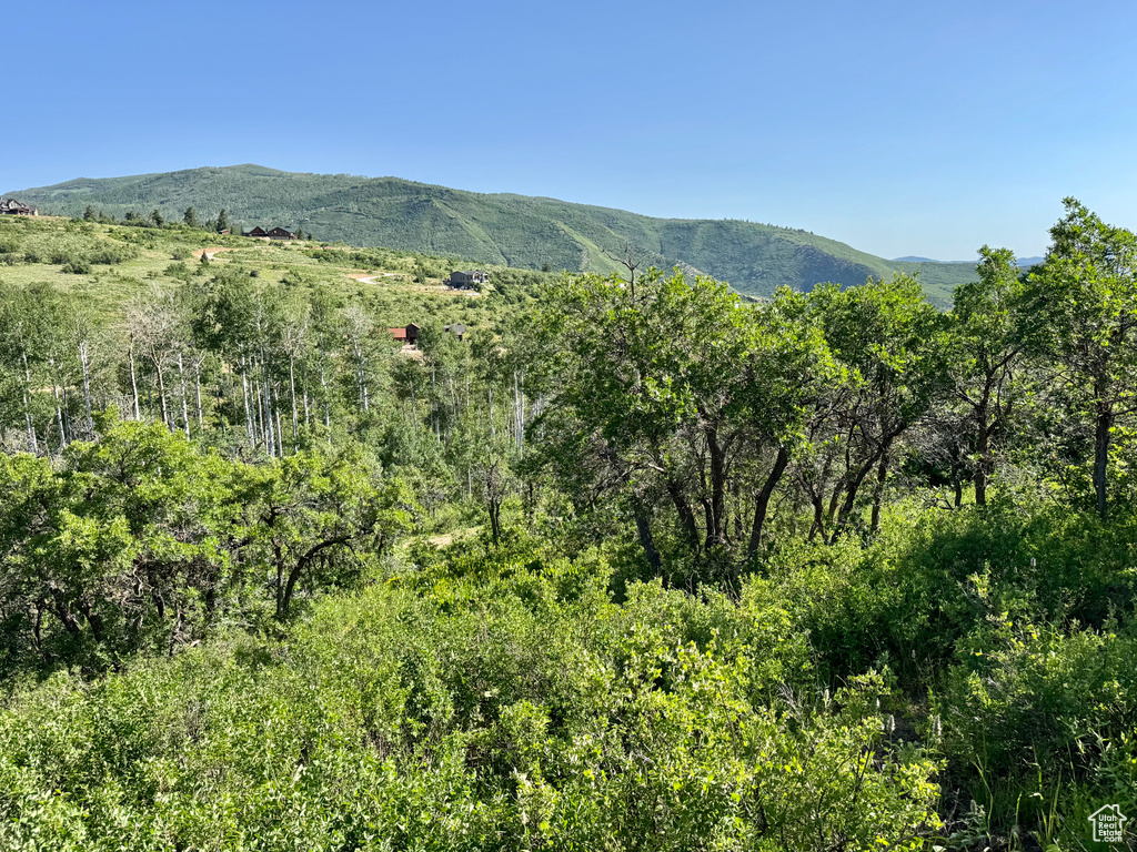 218  BEAR TOOTH RIDGE RD Wanship, UT 84017
