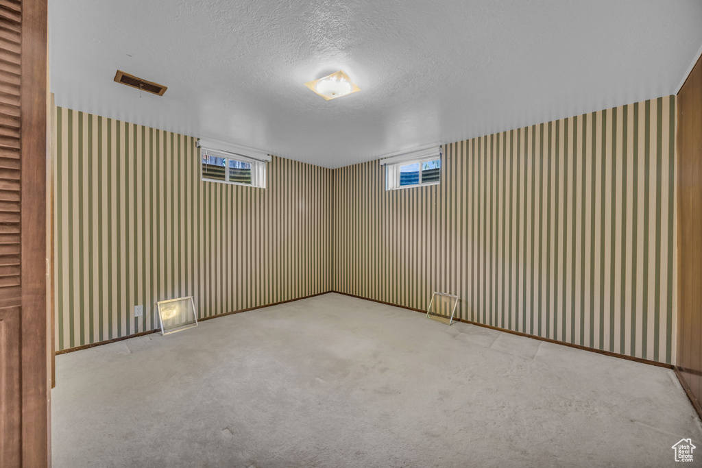 Unfurnished room featuring carpet floors, a textured ceiling, and plenty of natural light