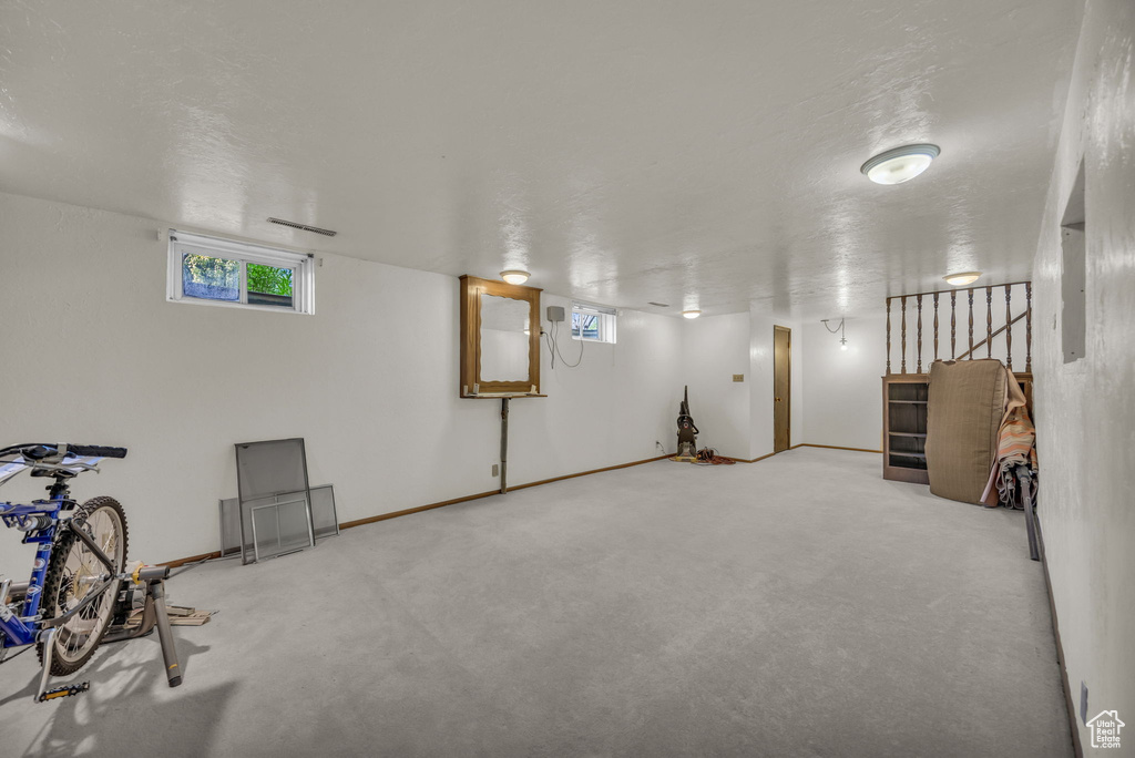 Below grade area with plenty of natural light and carpet flooring