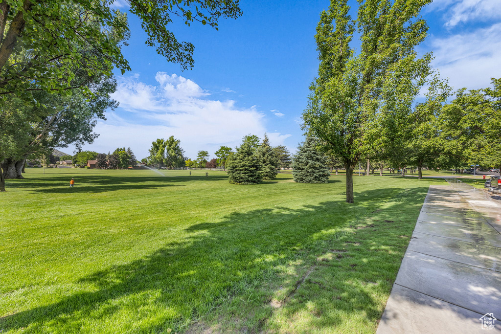 View of green lawn