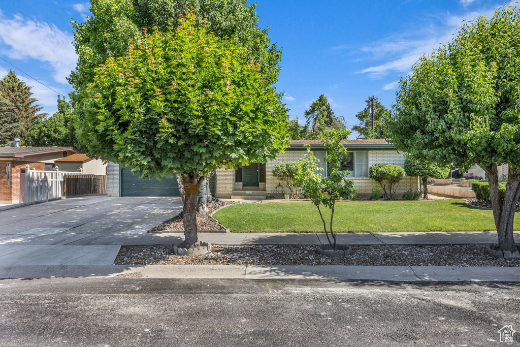 View of property hidden behind natural elements with concrete driveway and brick siding