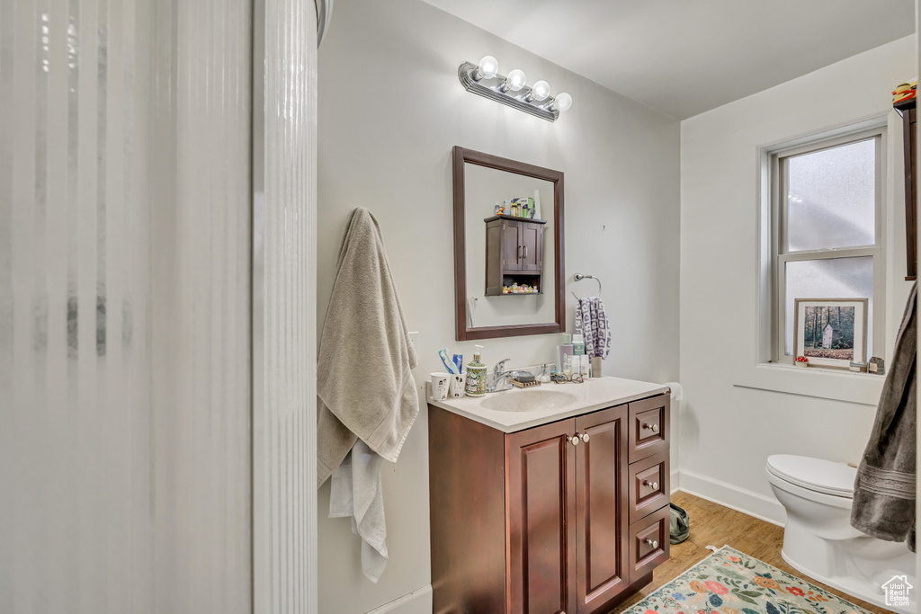 Bathroom featuring wood finished floors and vanity