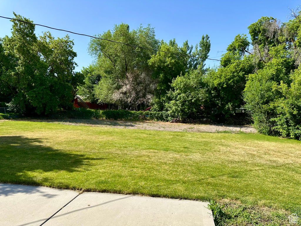 View of grassy yard