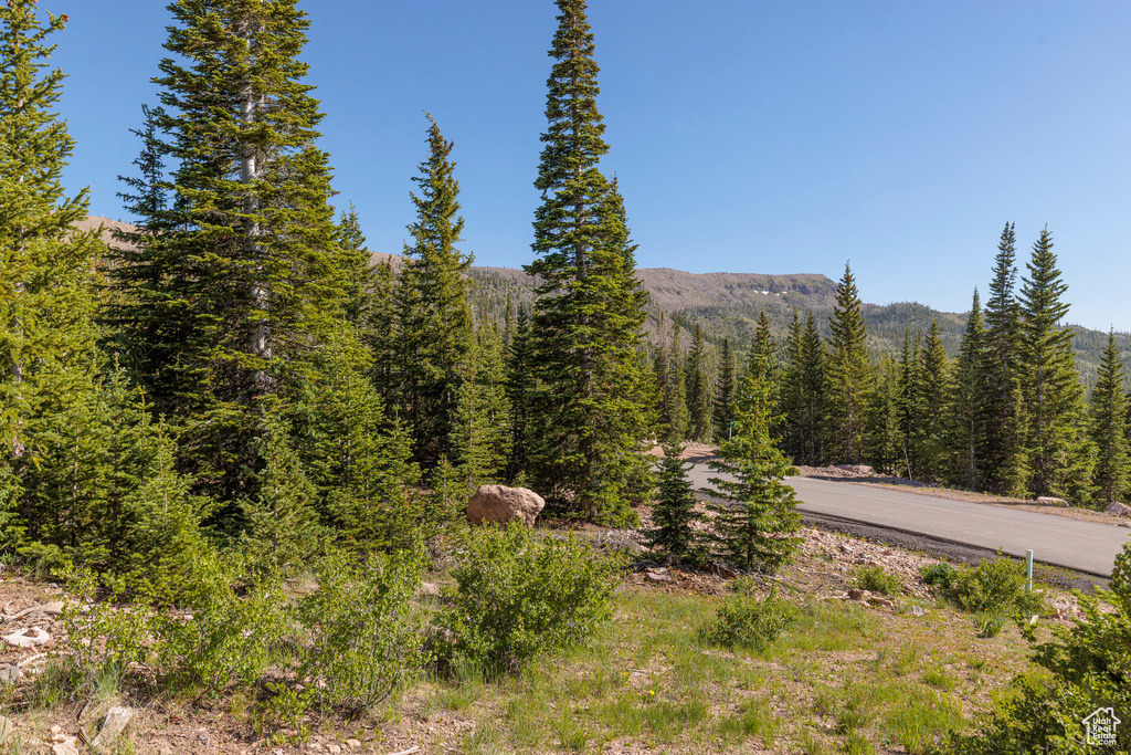 318 N HIGHLAND DR Brian Head, UT 84719