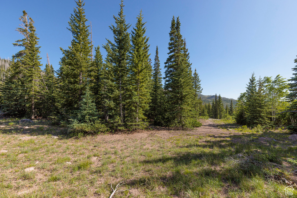 318 N HIGHLAND DR Brian Head, UT 84719