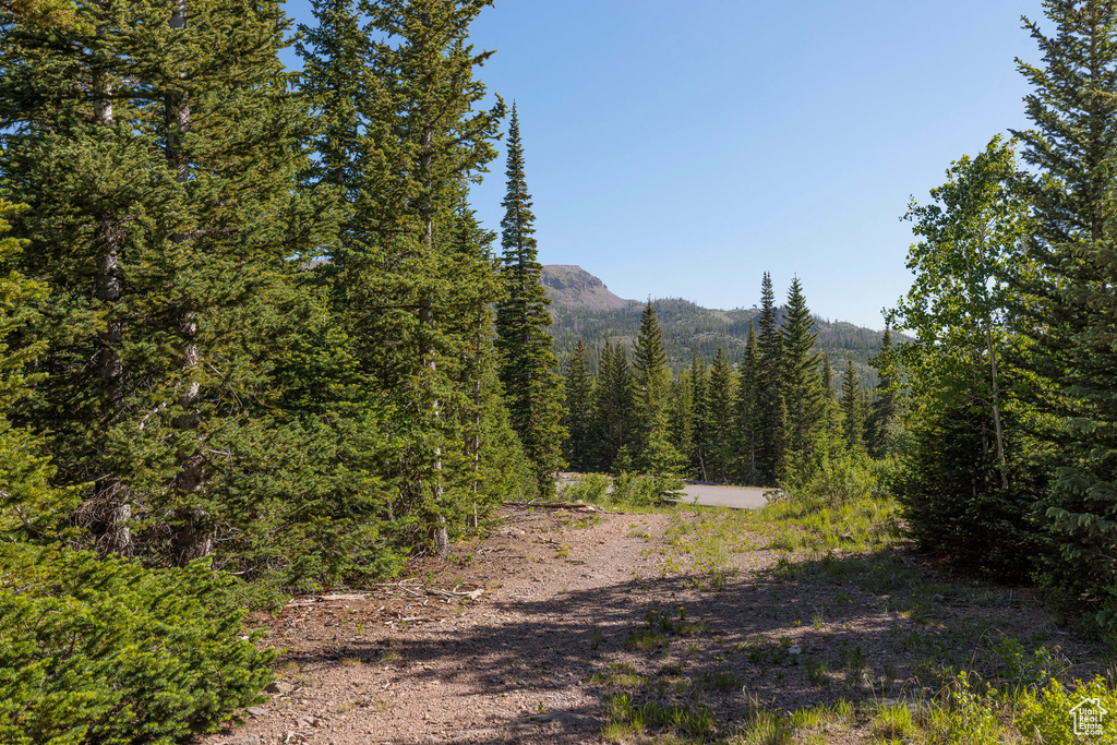 318 N HIGHLAND DR Brian Head, UT 84719