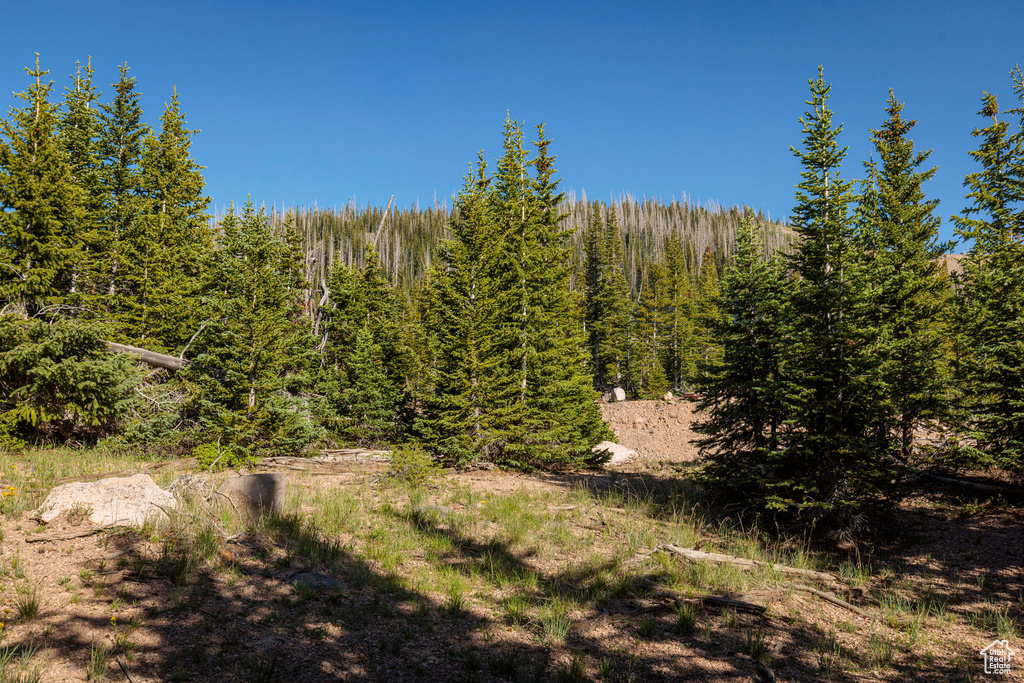 318 N HIGHLAND DR Brian Head, UT 84719