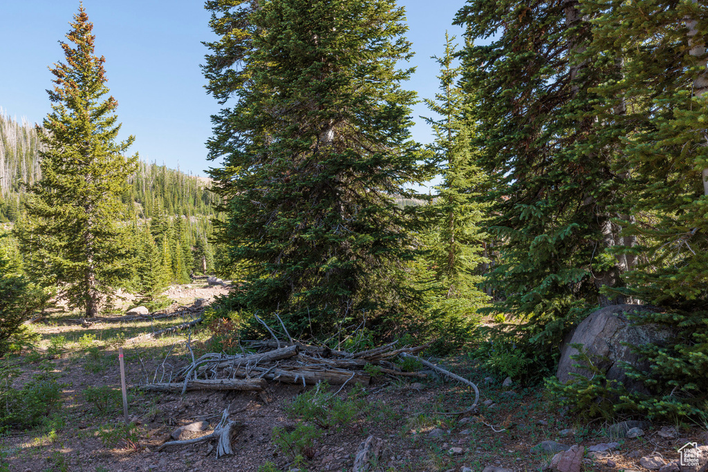 318 N HIGHLAND DR Brian Head, UT 84719
