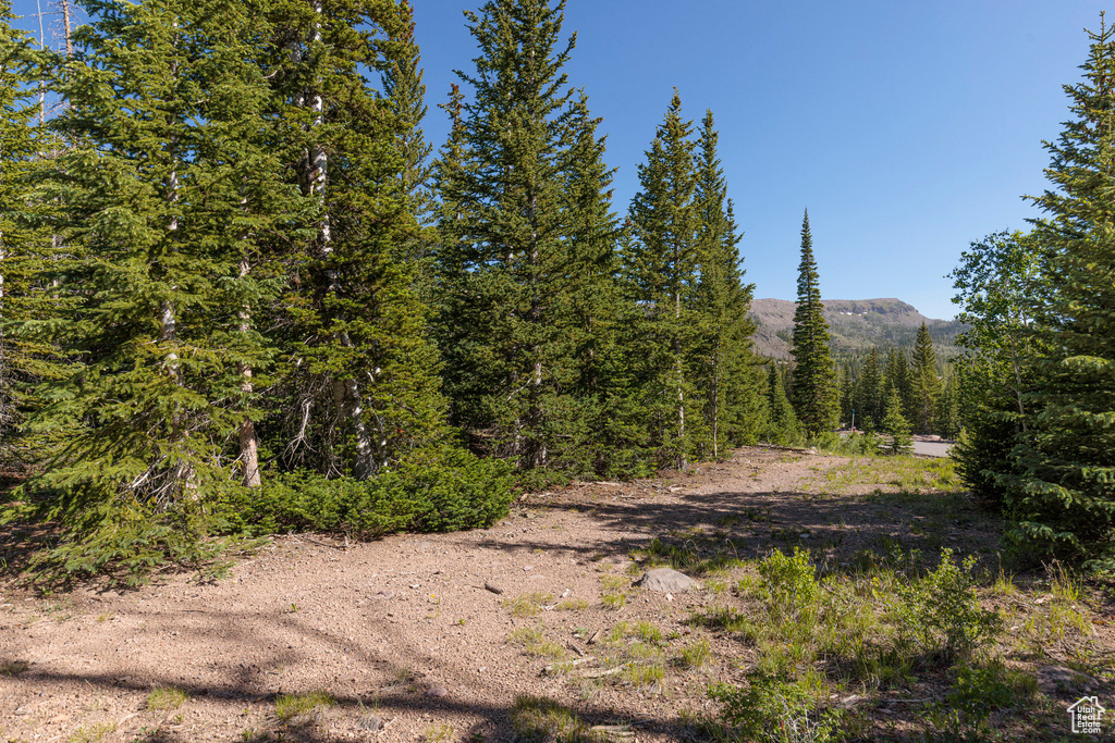 318 N HIGHLAND DR Brian Head, UT 84719