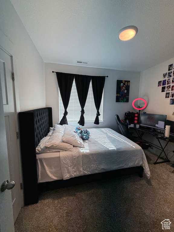 13547 S HANLEY LN #202 Riverton, UT 84096