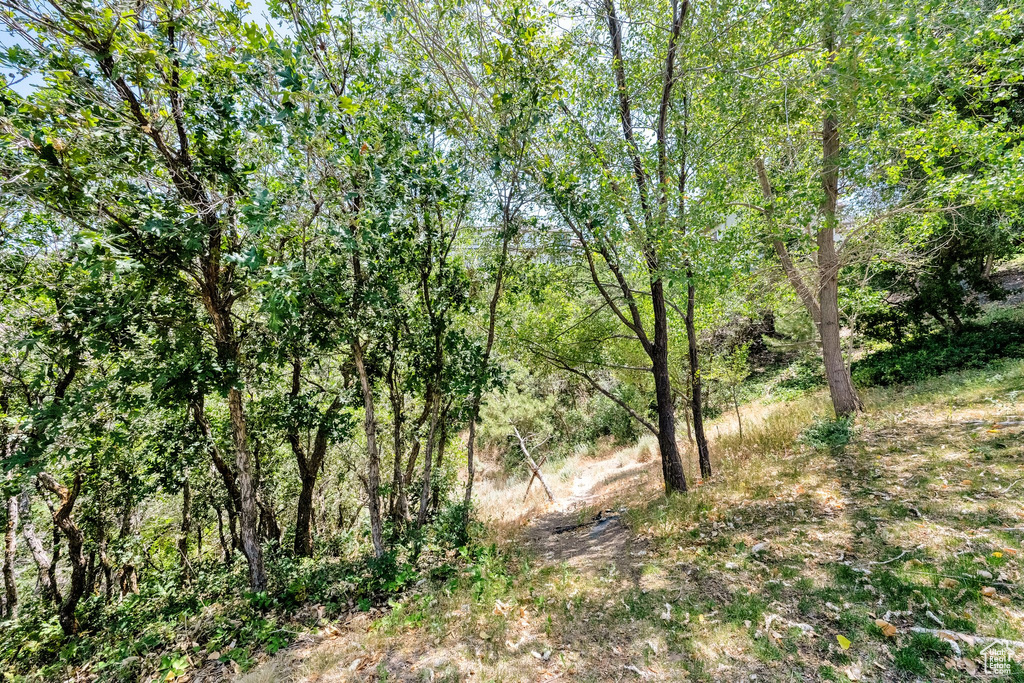 923 E ABSAROKA CT Draper, UT 84020