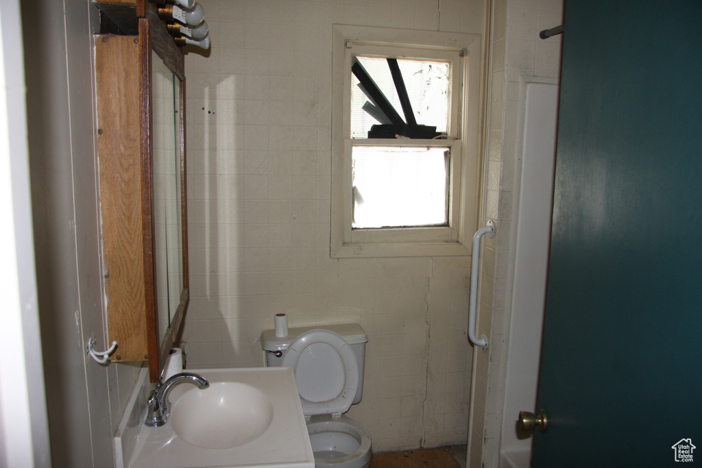 Bathroom with toilet, vanity, and a shower