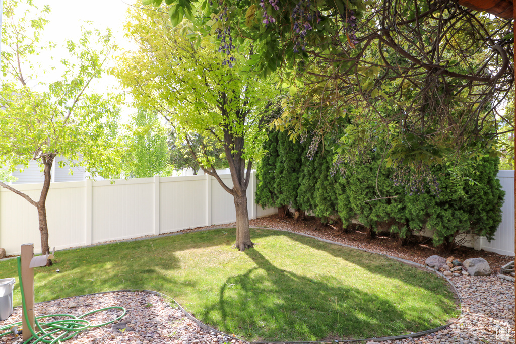 View of fenced backyard
