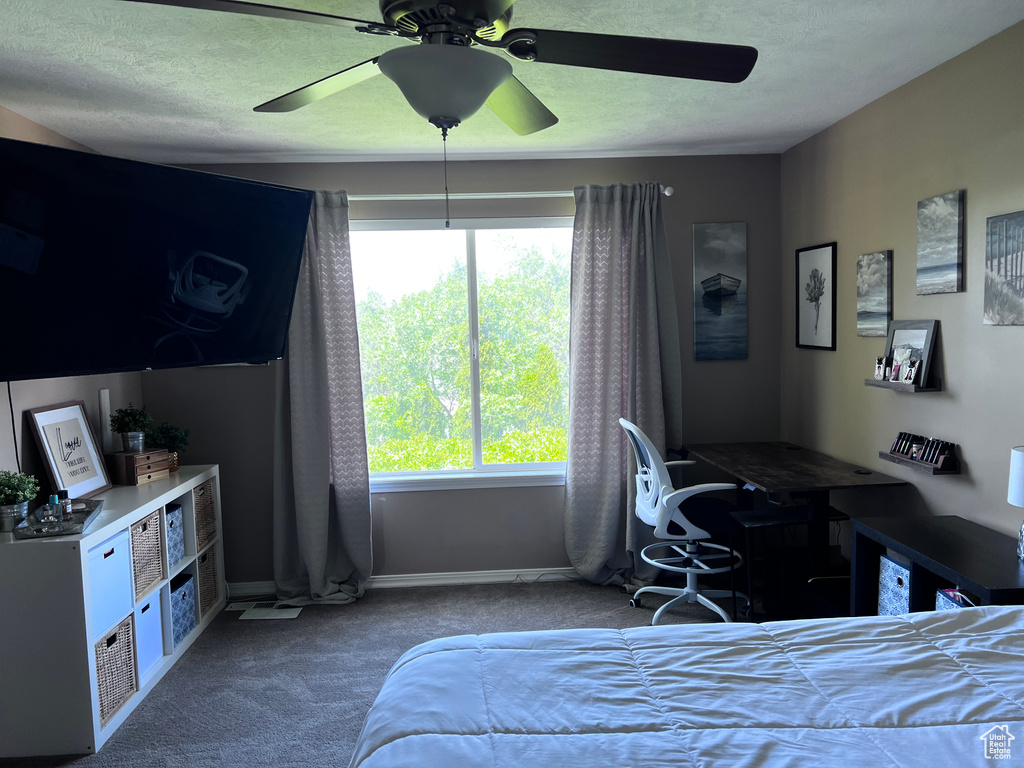 Carpeted bedroom with multiple windows, a ceiling fan, and a textured ceiling